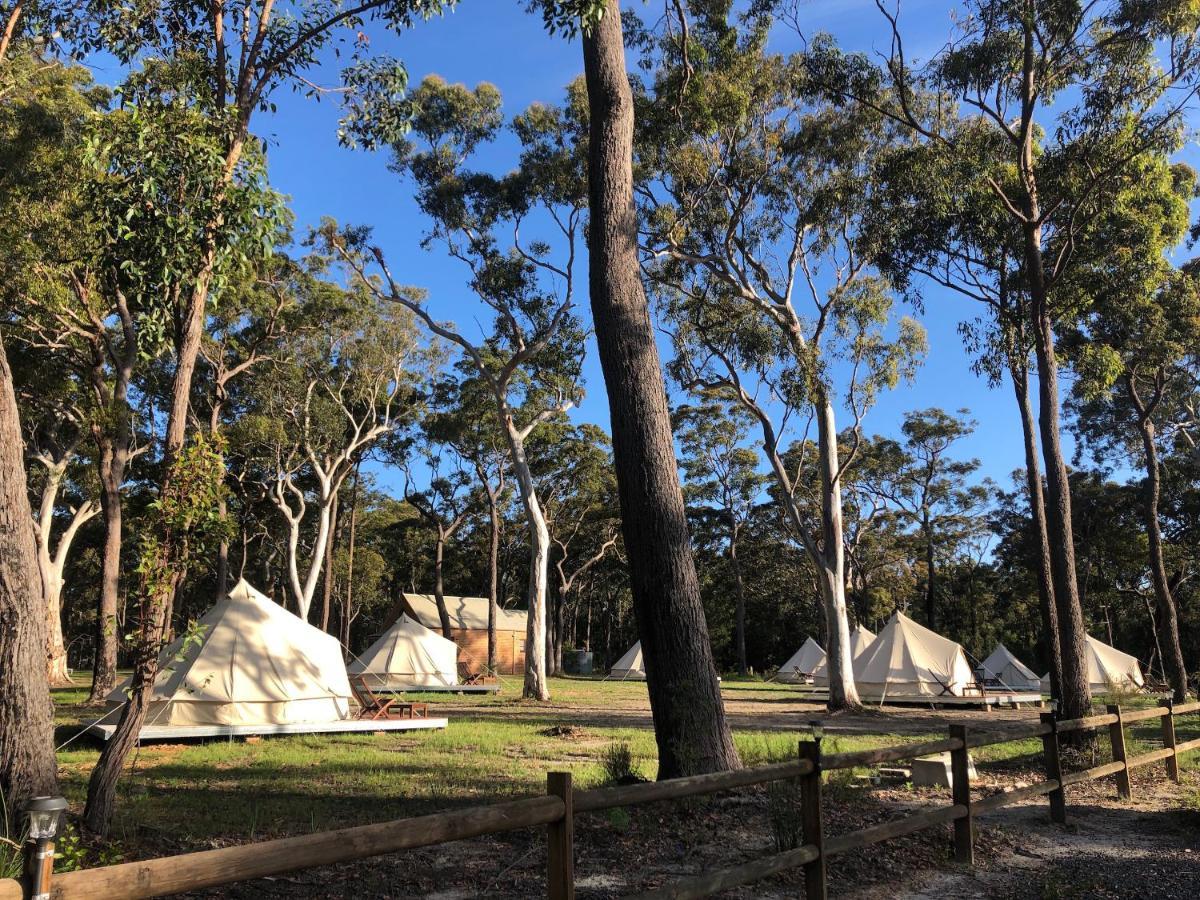 Bay And Bush Cottages Jervis Bay Huskisson Eksteriør billede