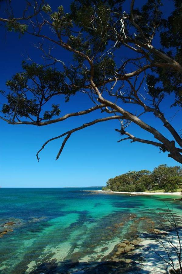 Bay And Bush Cottages Jervis Bay Huskisson Eksteriør billede